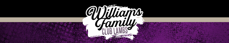 Williams Family Club Lambs