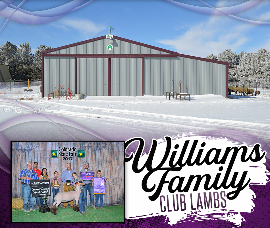 Williams Family Club Lambs